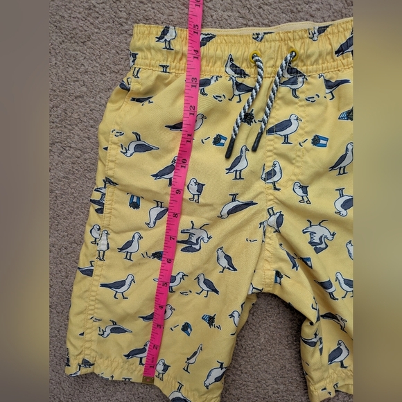 Cat & Jack Target Youth Boys Yellow Seagull Swim Trunks Small 6 / 7 - Picture 12 of 12